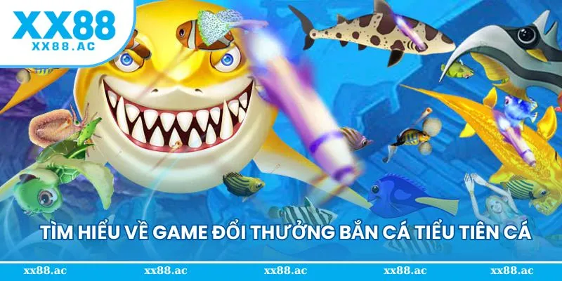 Tìm hiểu game bắn cá tiểu tiên cá